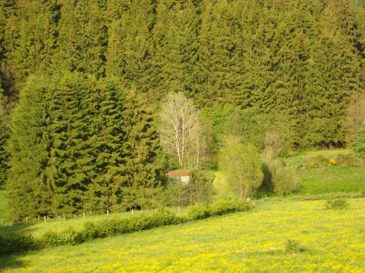 Location Panoramagreen Burg Reuland Dış mekan fotoğraf